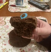 Double Chocolate Cupcake