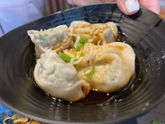 Chicken Veggie Wonton w/ Chili Sauce