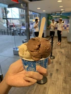 Chocolate Peanut Buttery Swirl / Chocolate Chip Cookie Dough / Americone Dream