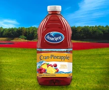 Ocean Spray Cran-Pineapple