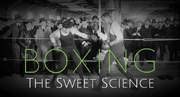 Boxingsweet
