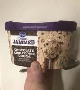 Jammed Chocolate Chip Cookie Dough Frozen Dairy Dessert