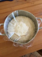 "After only 1.5 hours, it had more than doubled in size, which never happened during our first attempt in episode 2"