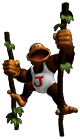 Donkey Kong Jr.