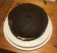 Chocolate Cake Process #8