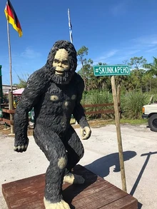 Skunk Ape
