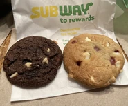 Double Chocolate Cookie and Raspberry Cheesecake Cookie