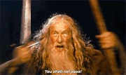 "You shall not pass!" - Gandalf the Grey