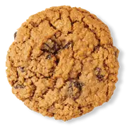 oatmeal raisin cookie