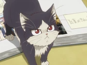 Category Characters My Roommate Is A Cat Wiki Fandom Watch streaming anime doukyonin wa hiza, tokidoki, atama no ue. my roommate is a cat wiki fandom