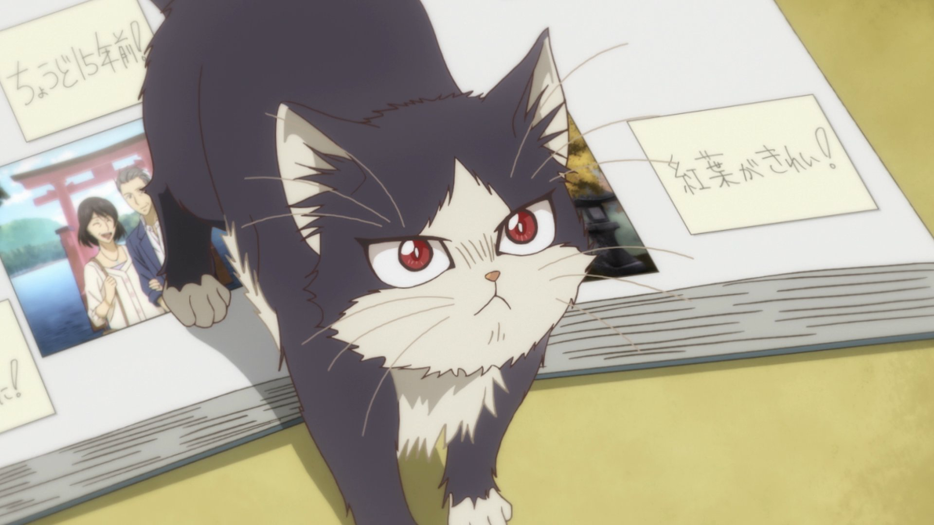 My Roommate is a Cat: um gato pode mudar vidas e estrelar o anime mais fofo  do ano - Elfo Livre