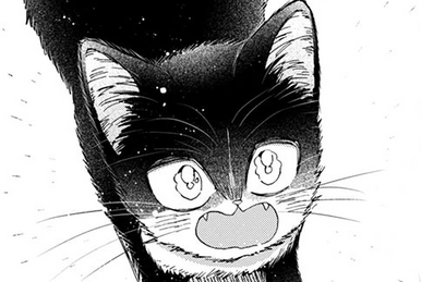 My Roommate is a Cat: um gato pode mudar vidas e estrelar o anime mais fofo  do ano - Elfo Livre