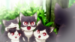 Haru's siblings.png