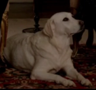 Abbey as Isis in Episode 4.06