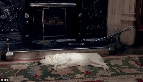 Isis not looking well