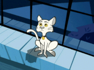 S03e02 cat on windowsill
