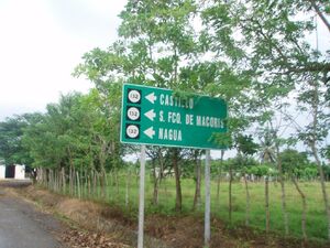 Pimentel 31321a