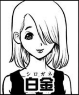 Shirogane Portrait