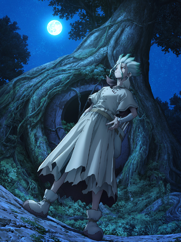 Dr stone store watch online