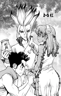 Yuzuriha Ogawa, Dr. Stone Wiki