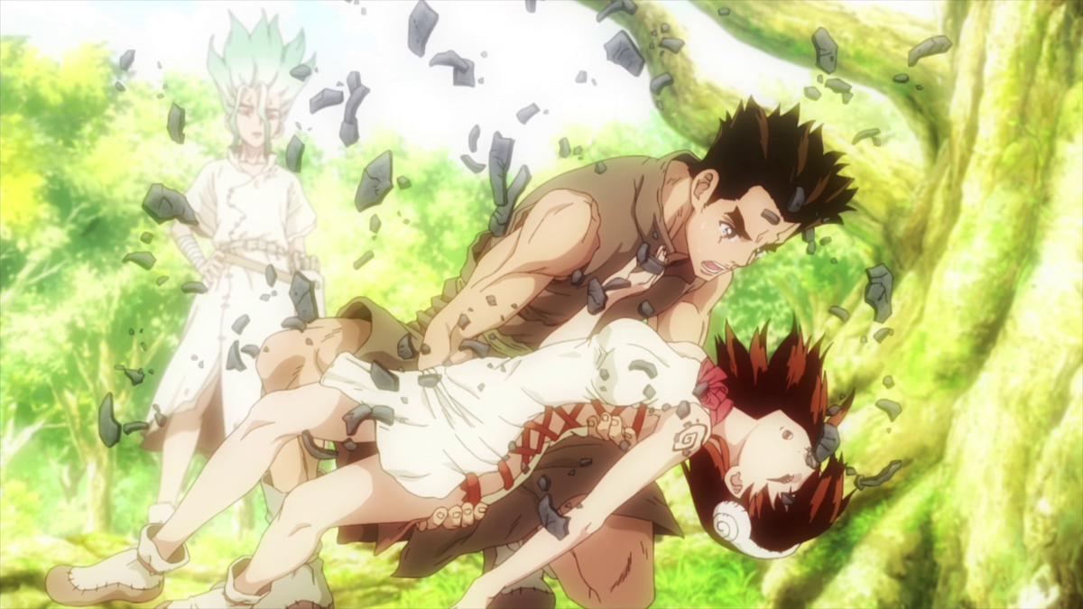 Ogawa.Yuzuriha.(Dr..STONE)  Dr. stone, Anime, Anime images