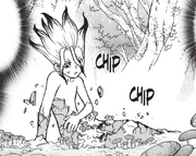 Senku removing chips