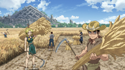 The village have their first harvest