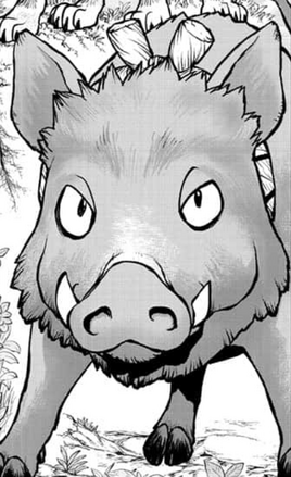 Post Timeskip