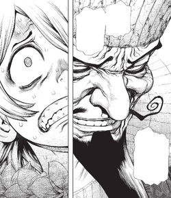 Ibara, Dr. Stone Wiki