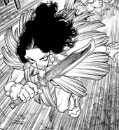 Maya's appearance in Araxa