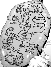 Roadmap Suika Revival