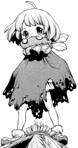 Suika Image Gallery Dr Stone Wiki Fandom