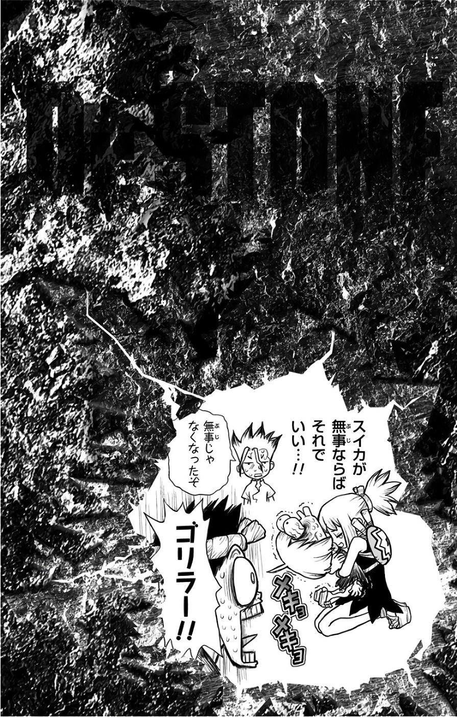 その他 Dr.STONE CDJapan : 