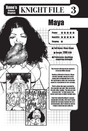 Volume 19 Knight File 3