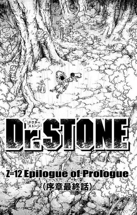 Chapter 12