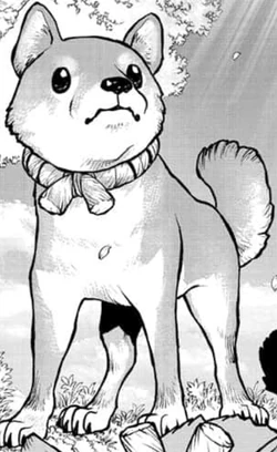 250?cb=20210420153451