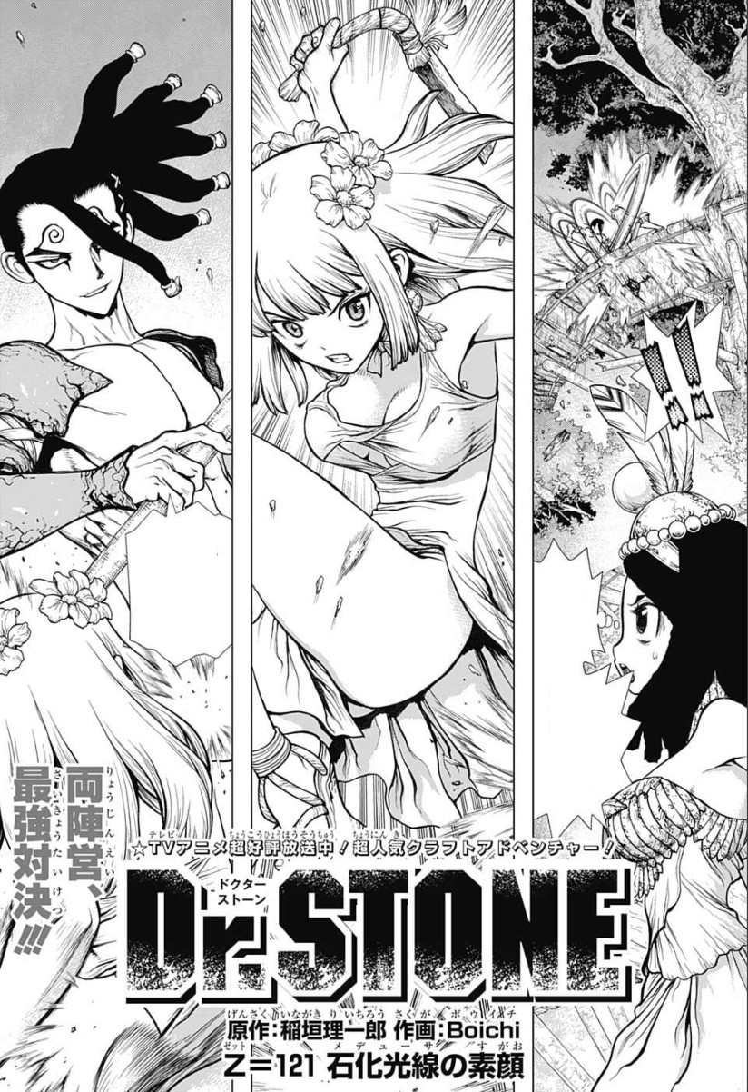 Ruri, Dr. Stone Wiki