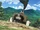 The Steam Gorilla is pushed up a hill.png