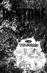 Volume 3 Wild Momotaro Tale.png