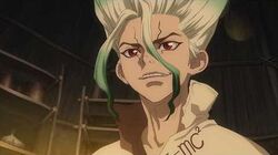 Dr Stone Anime Dr Stone Wiki Fandom