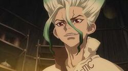 Dr. Stone (season 1) - Wikipedia