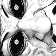 Ibara's face