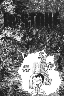 Dr Stone Vol. 15