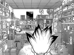 Senku 0010 ciencia
