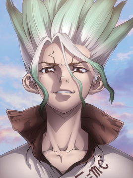 Dr. Stone Cover