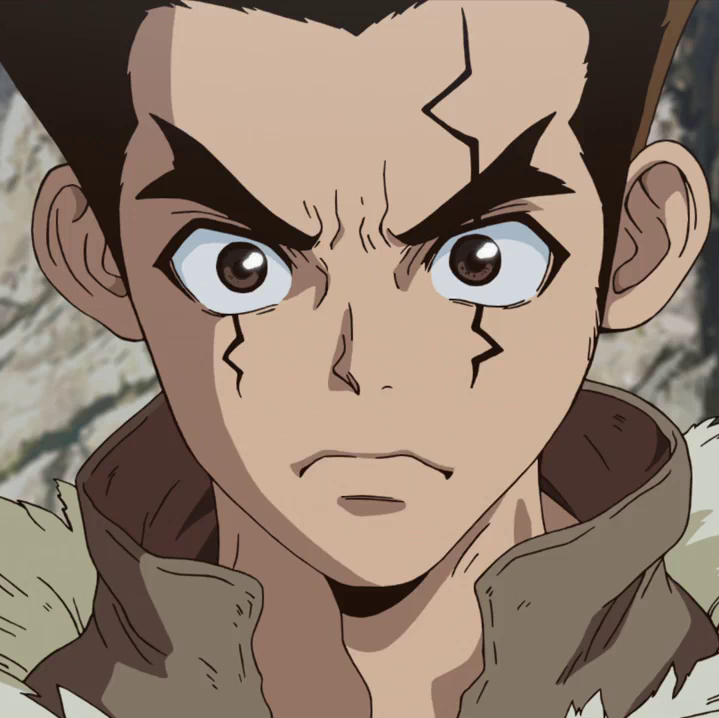 Francois, Dr. Stone Wiki