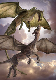 Bergdrache Dragons World Daren Horley