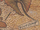 HTTYD Hicks Karte Boetuntif.png