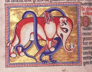 Darstellung eines Wyvern mit gefiederten Flügeln