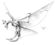 Leonopteryx Konzept